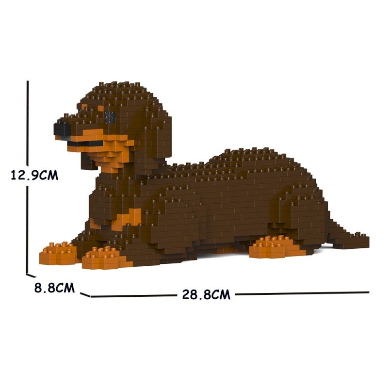 Brown and Tan Coated Dachshund Dog