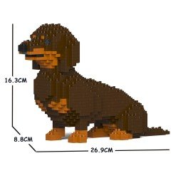 Chien Teckel assis marron et feu