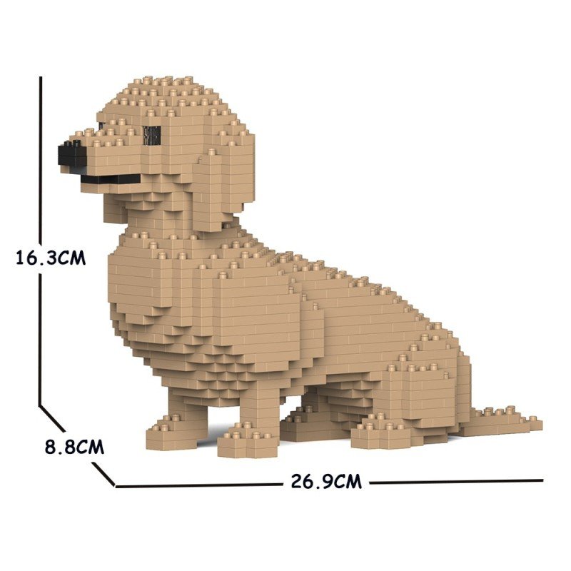 Chien Teckel assis crème