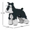 Chien Schnauzer Moyen noir et blanc