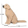 Chien Golden Retriever assis beige