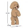 Chien Caniche Nain debout beige