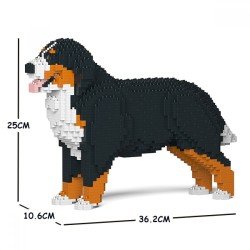 Bernese mountain dog open mouth