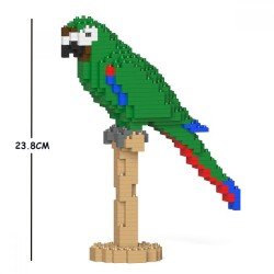 Green macaw parrot