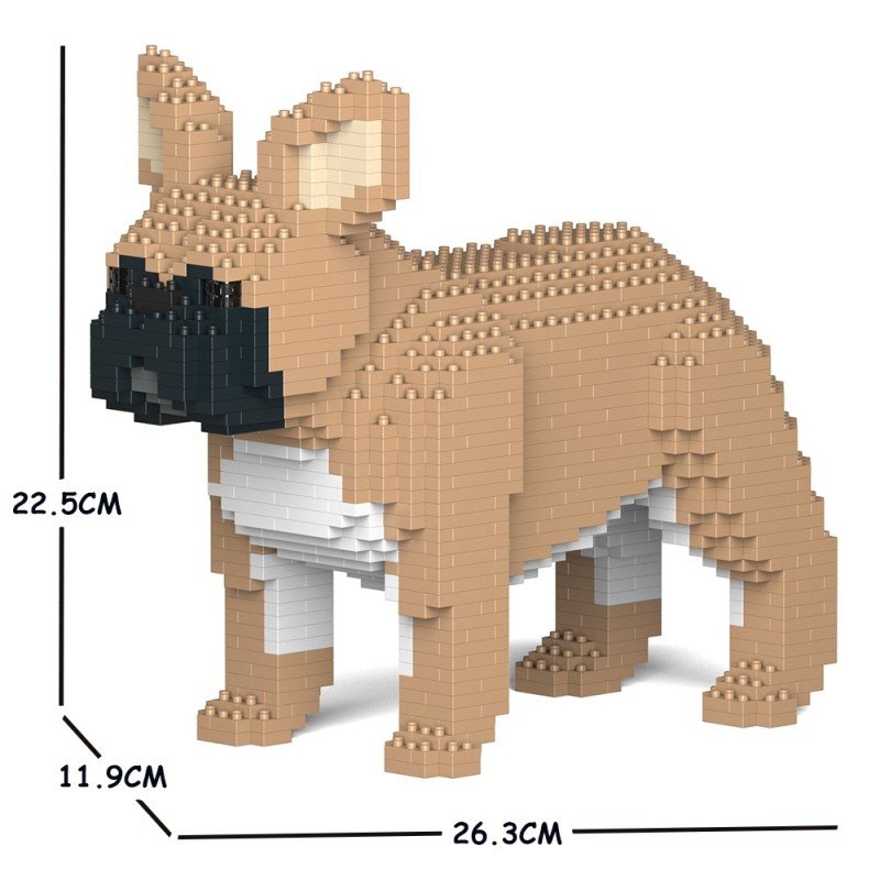 Chien Bouledogue Français oreilles dressées fauve