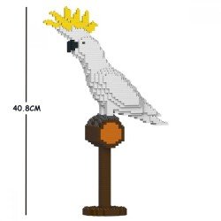 Sulphur-crested Cockatoo