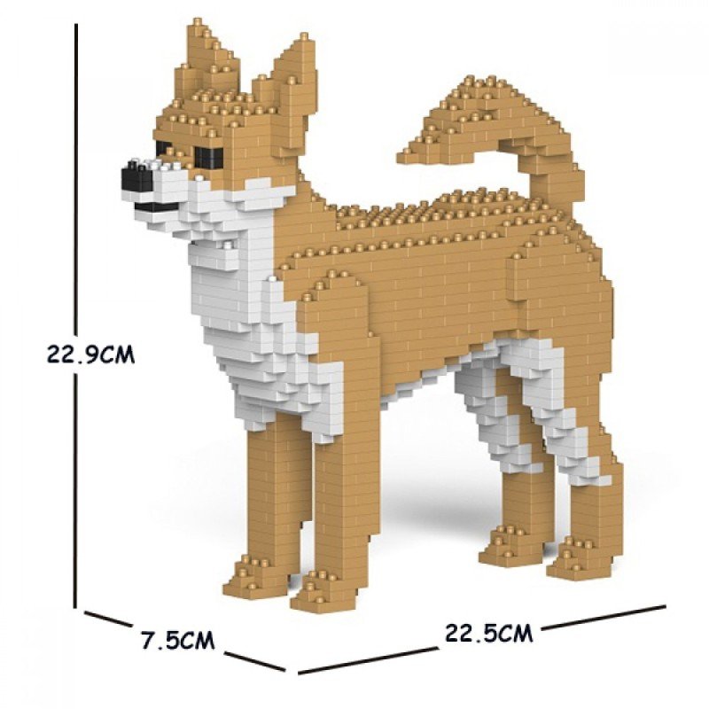 Chien Chihuahua beige