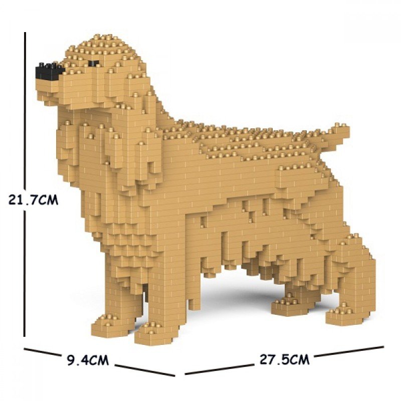 Beige Cocker Spaniel dog