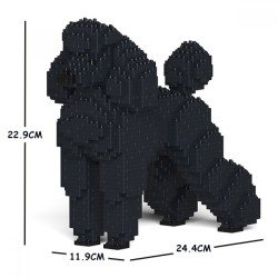 Chien Grand Caniche noir