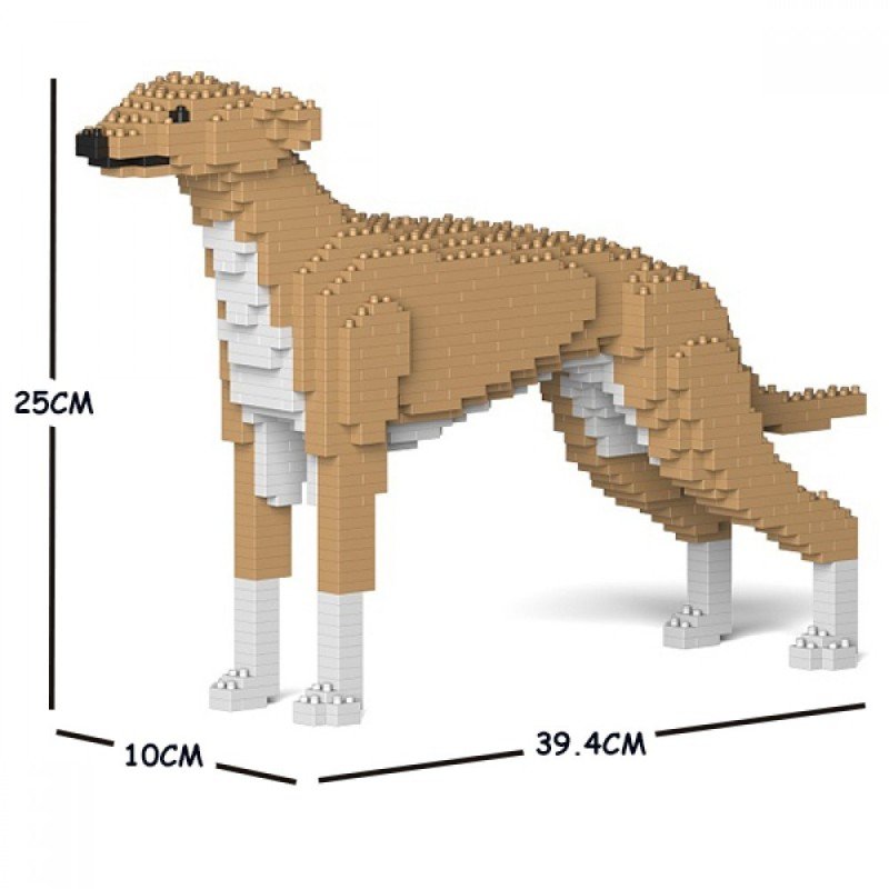 Chien Lévrier Anglais beige