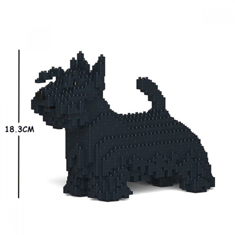 Black Scottish Terrier dog