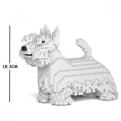 Chien Terrier Ecossais blanc