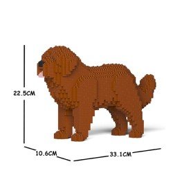 Brown Newfoundland dog