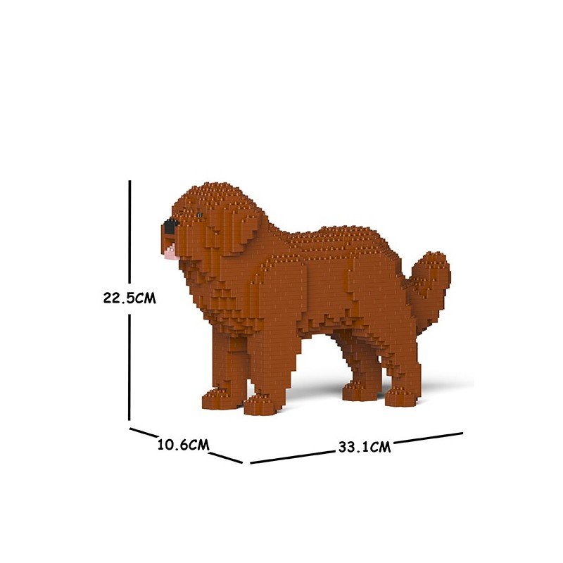 Brown Newfoundland dog