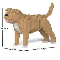 Chien Staffordshire Bull Terrier beige