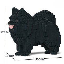 Chien Spitz Nain noir