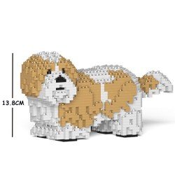 Chien Shih Tzu taches beiges