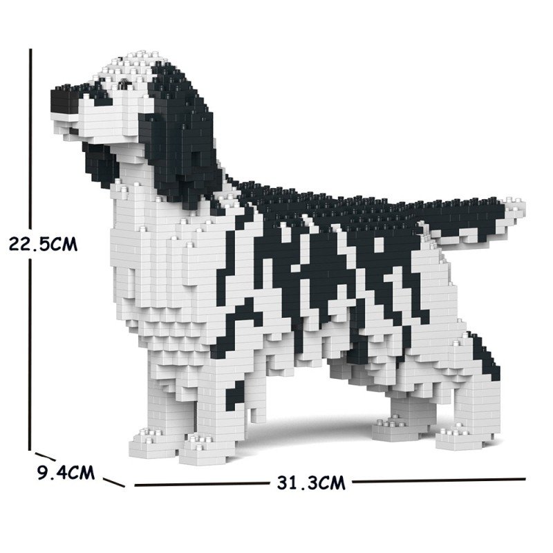 English Setter dog black spots