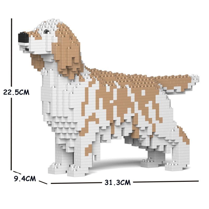 English Setter dog beige spots