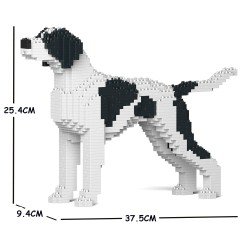 Chien Pointer Anglais taches noires