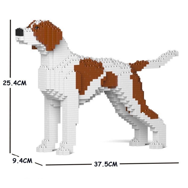 Chien Pointer Anglais taches marrons