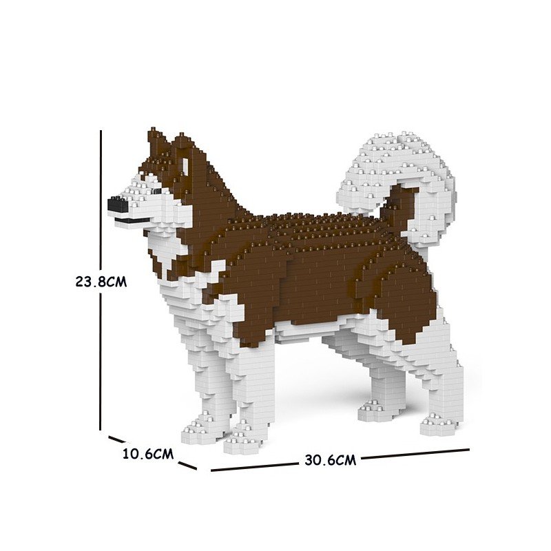 Brown Alaskan Malamute dog