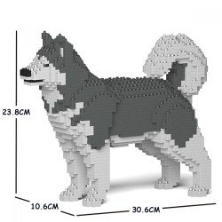 Gray Alaskan Malamute dog