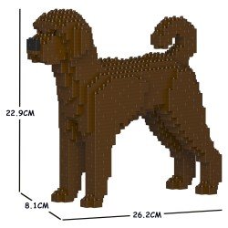 Chien Labradoodle marron