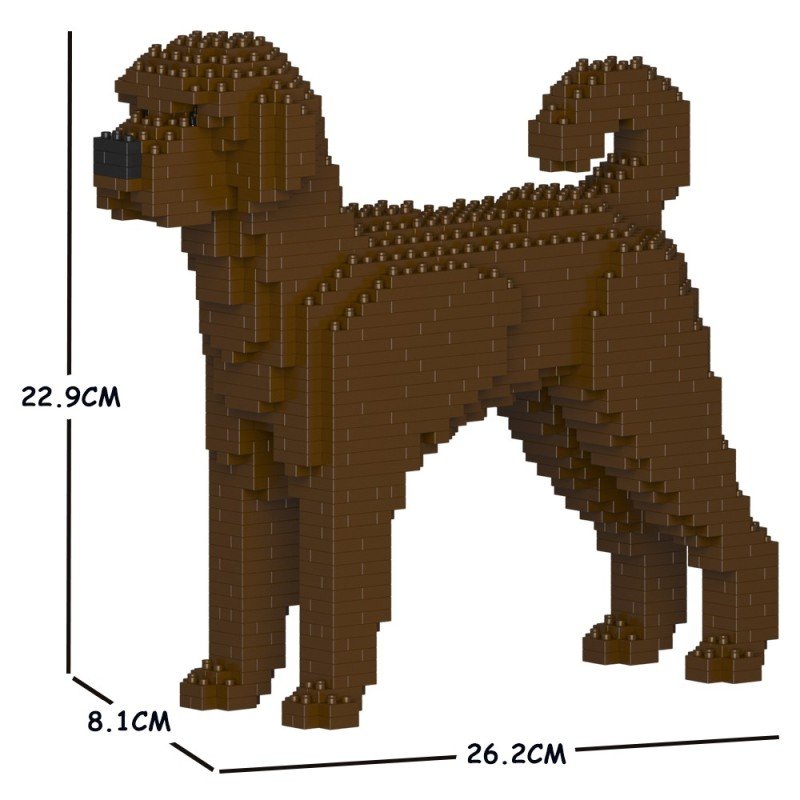 Brown Labradoodle dog