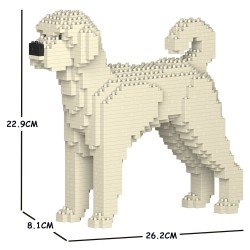 Chien Labradoodle crème