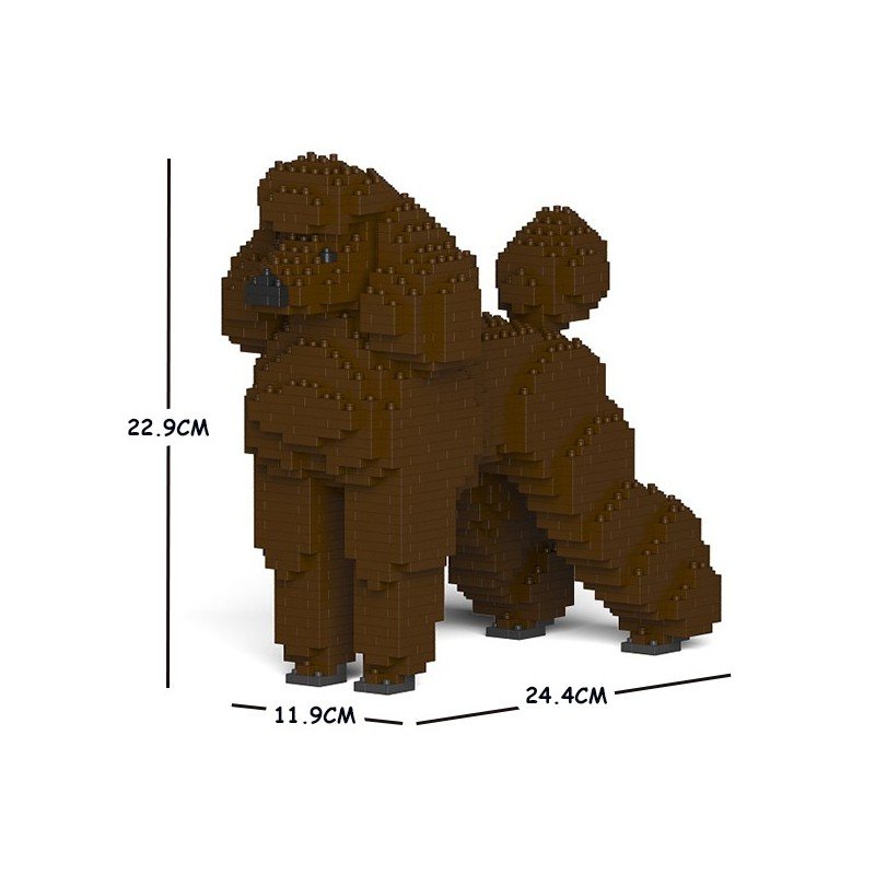 Brown Poodle Dog