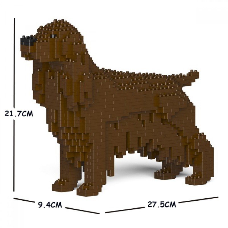 Brown Cocker Spaniel dog