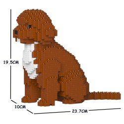 Chien Cockapoo marron