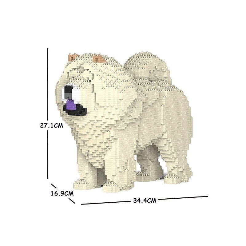 Chien Chow Chow mâle crème