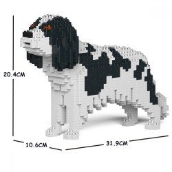 Chien Cavalier King Charles Spaniel taches noires