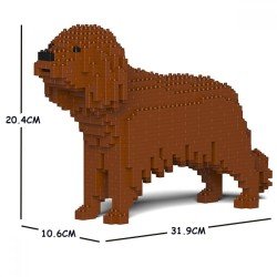 Chien Cavalier King Charles Spaniel marron