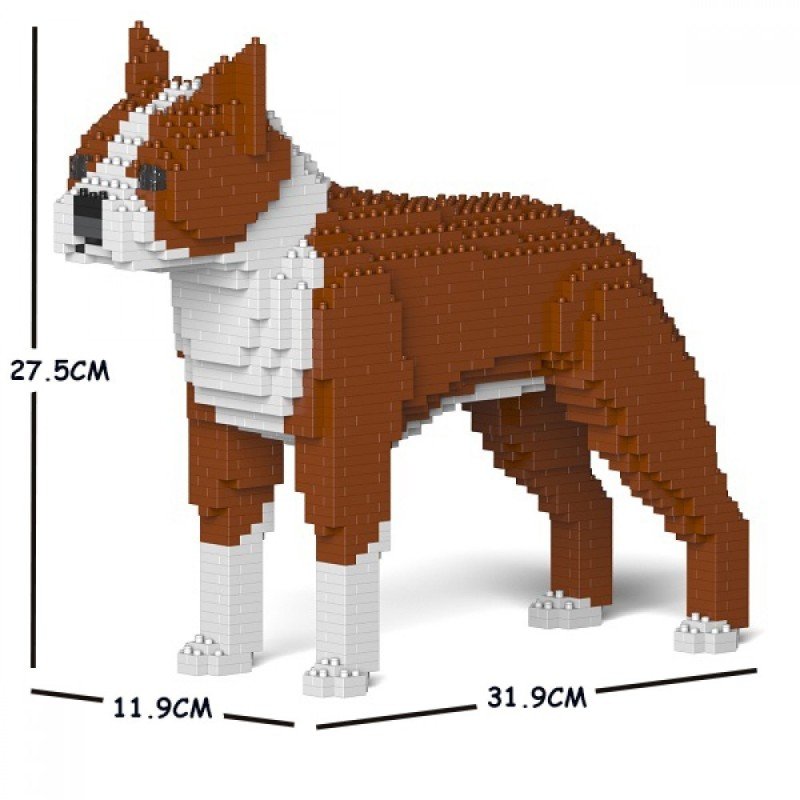 Brown Boston Terrier dog