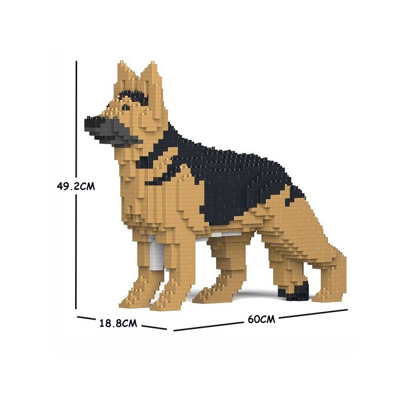 Chien Berger Allemand noir et feu