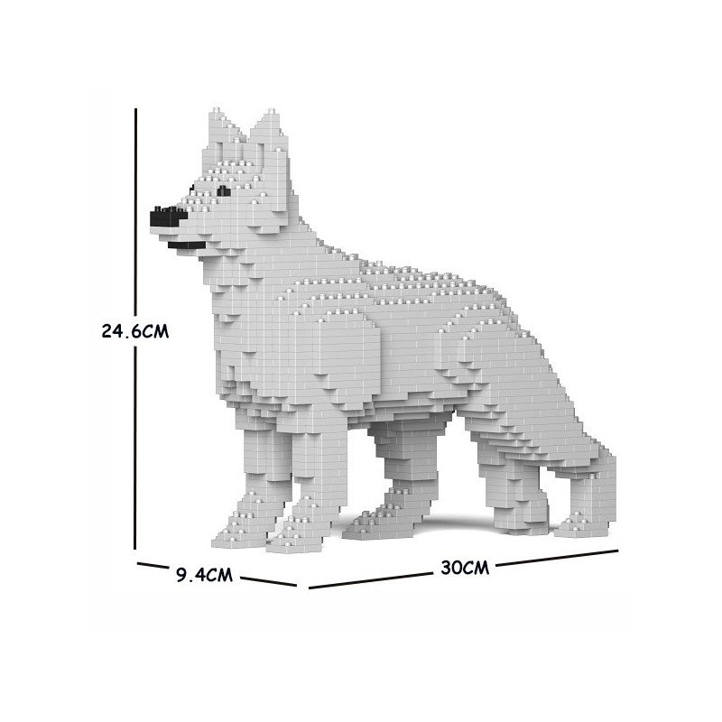 Chien Berger Allemand blanc