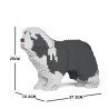 Chien Bearded Collie gris foncé