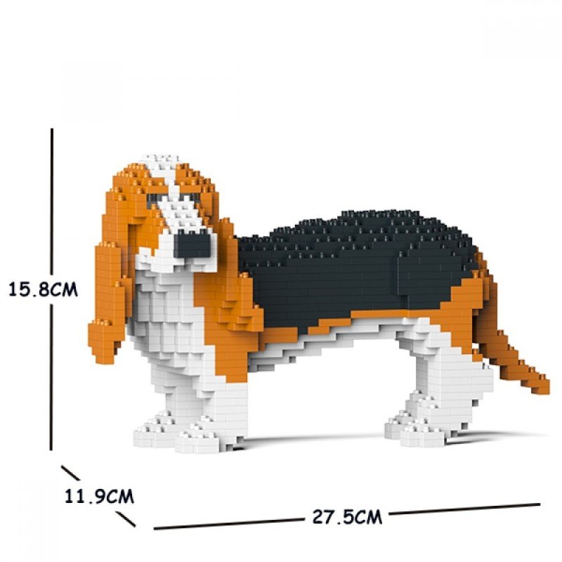 Ginger Basset Hound dog