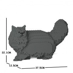 Gray persian cat