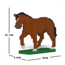 Brown horse in walk