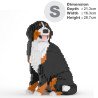 Australian Shepherd 01C-M01B