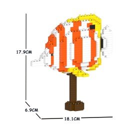 Poisson Chelmon à bec