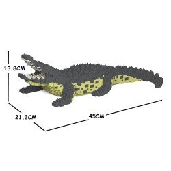 Crocodile