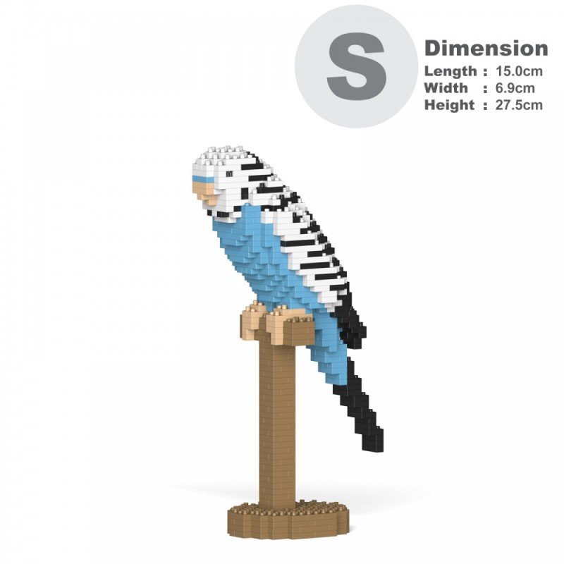 Blue Budgerigar