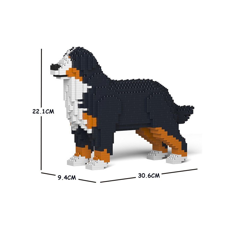 Bernese Mountain Dog