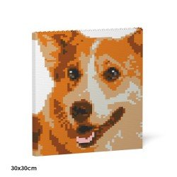 Welsh Corgi Chart 1