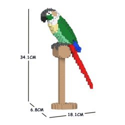 Conure de Molina à tête grise